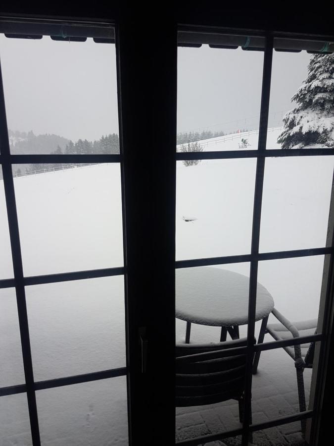 Appartement Neuastenberg Winterberg Exteriör bild
