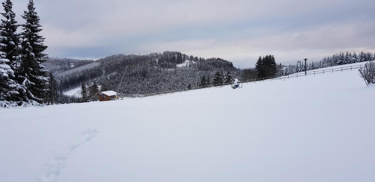Appartement Neuastenberg Winterberg Exteriör bild